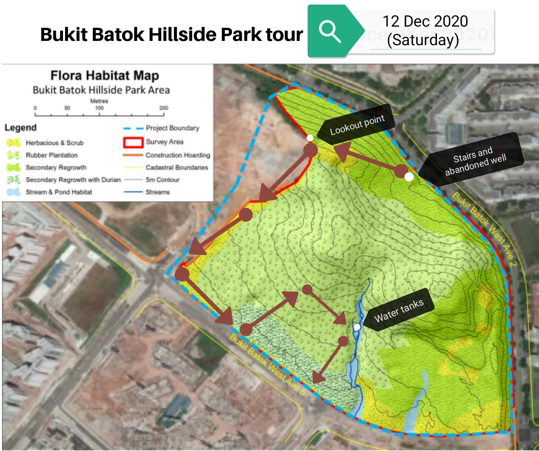 Forest tour at Bukit Batok Hillside Park area