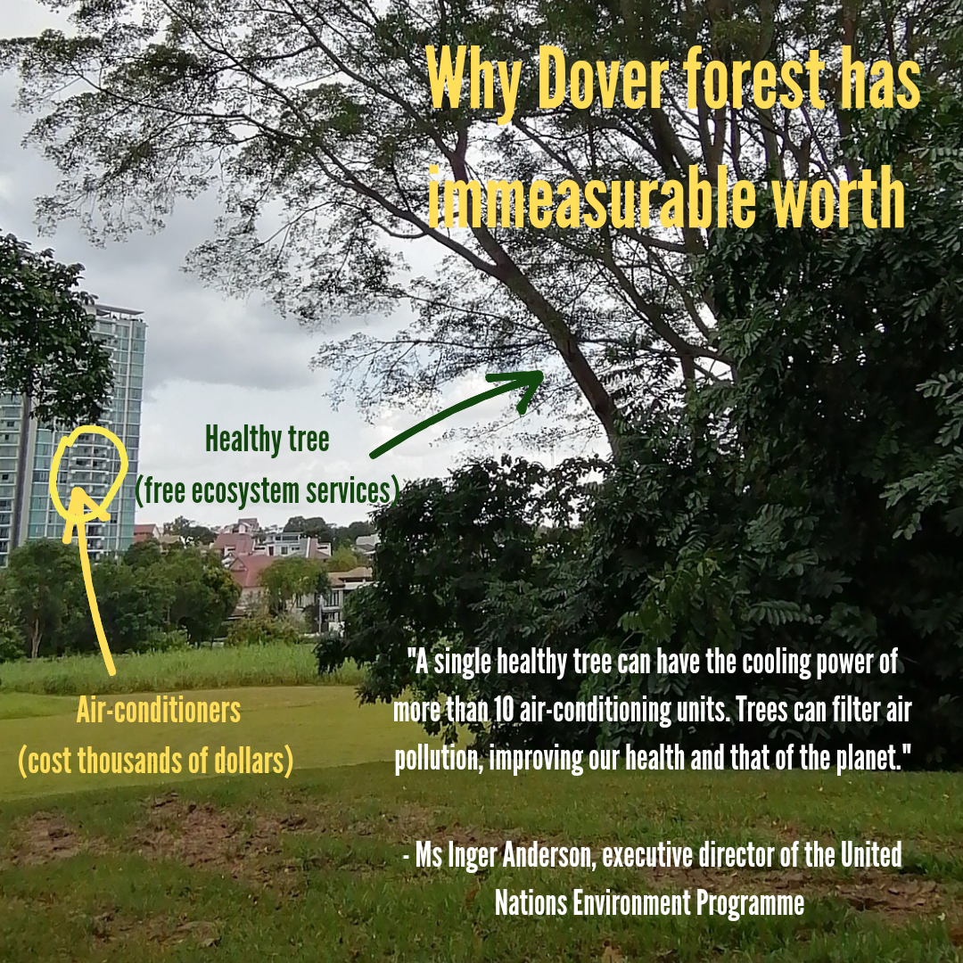 My feedback to HDB on the environmental baseline findings of Dover-Ulu Pandan Forest