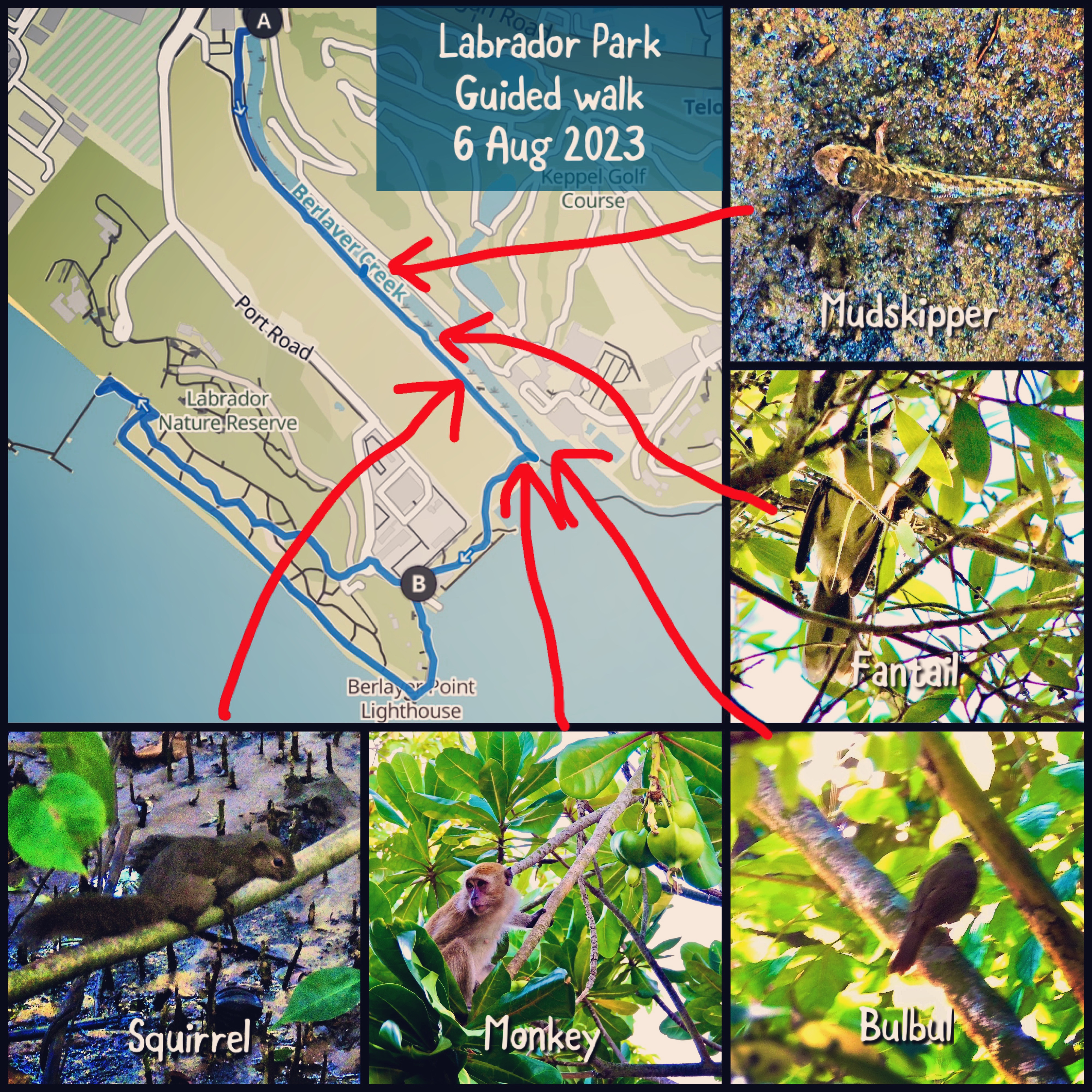 Labrador Park guided walk organised by SG Climate Rally (6 August 2023)