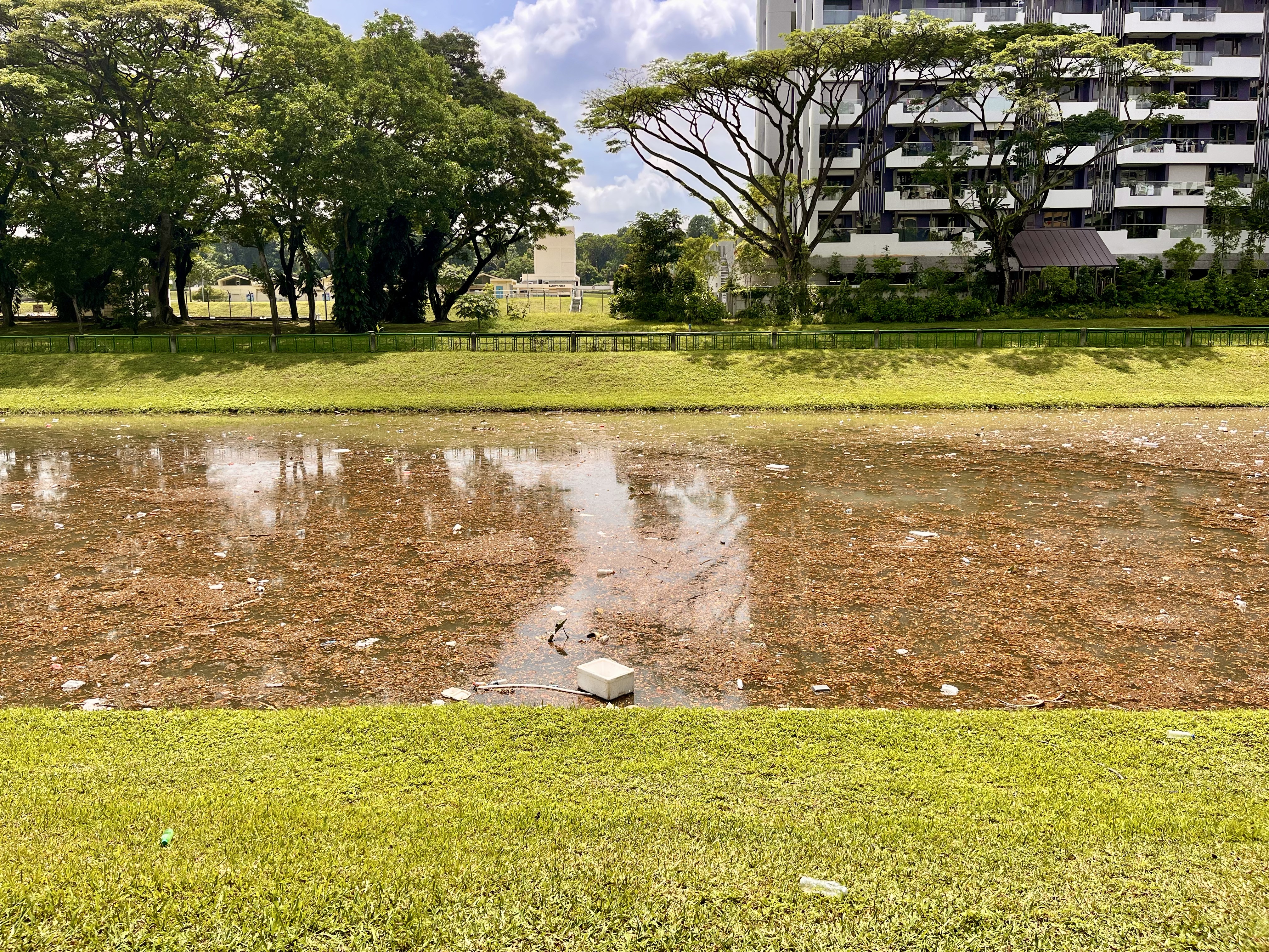 Littering and water pollution in Kallang River