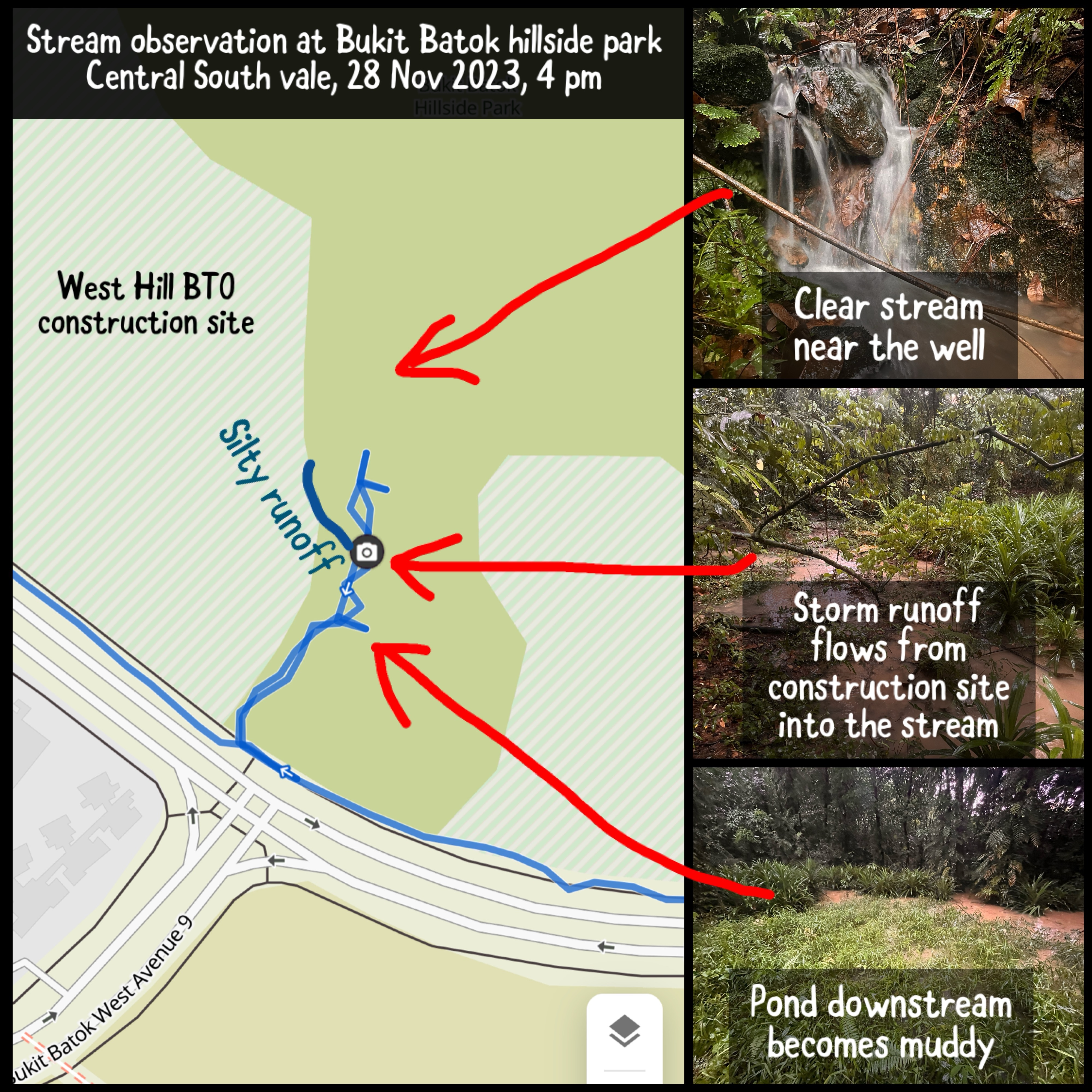 Bukit Batok hillside park: Water pollution of rare natural freshwater stream caused by silty runoff from construction site